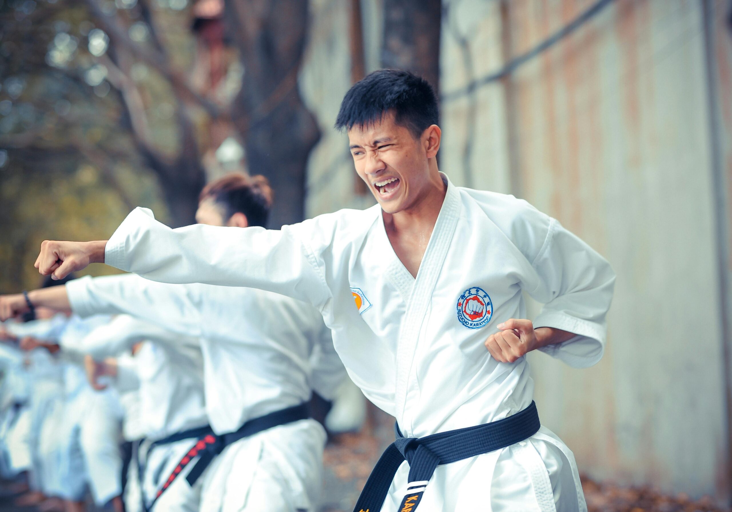 A picture of a successful karate class